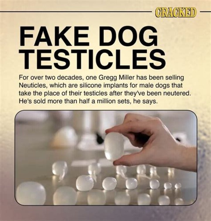 This Guy Became A Multi-Millionaire Thanks To.... Fake Dog Testicles