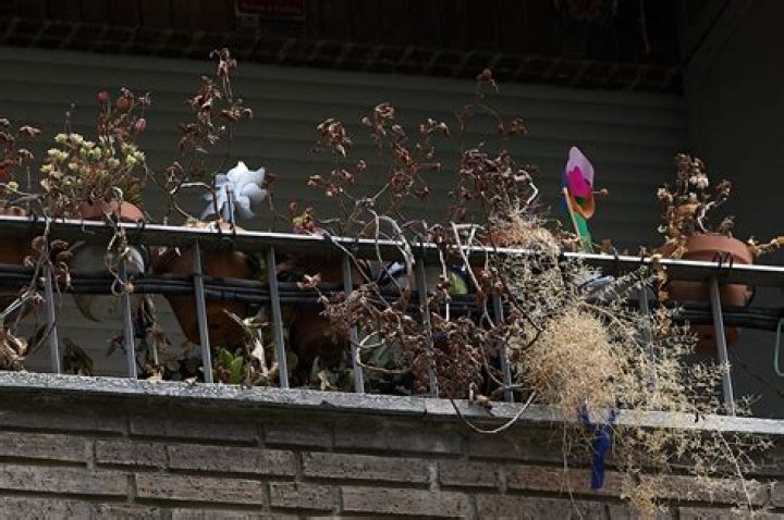 Maria Del Pilar Net Worth